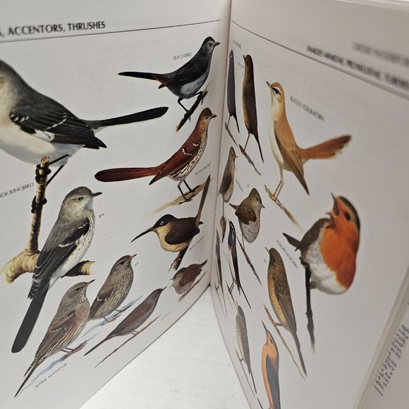 The Illustrated Encyclopedia BIRDS World DR Christopher Perrins History Book 90s - Picture 7 of 16